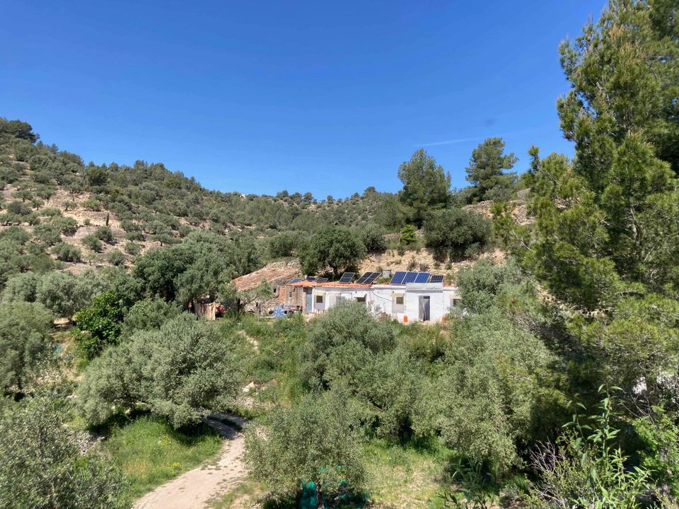 Herregård i El Perello, Tarragona - bilde 1